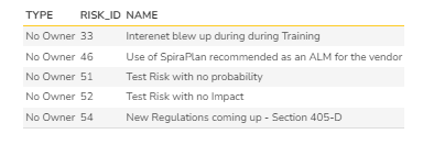 Unassigned Risks - Report format